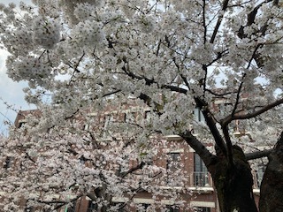 IMG_1132.jpg